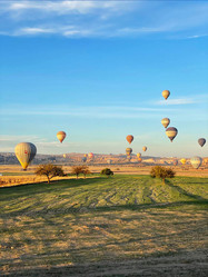 Similar image 22014982