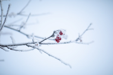 Similar image 22006716