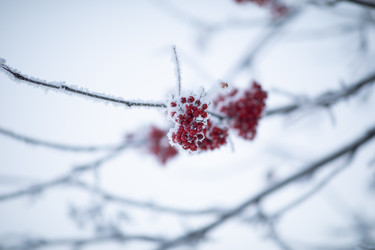 Similar image 22006717