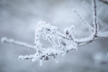 Similar image 22006718