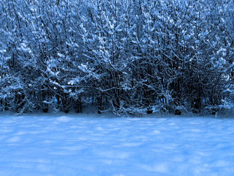 Similar image 22001878