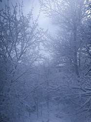 Similar image 22001879