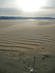 Similar image 22001880