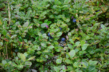 Similar image 22002657