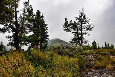 Similar image 22002658