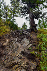 Similar image 22002659