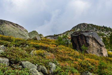 Similar image 22002664