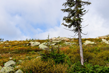 Similar image 22002689