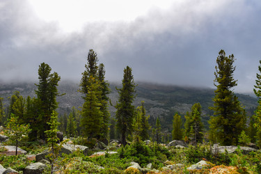 Similar image 22002692