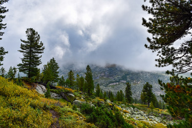 Similar image 22002694