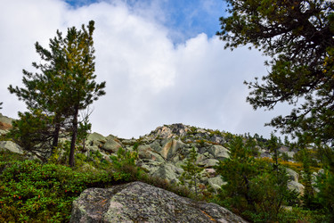 Similar image 22002695