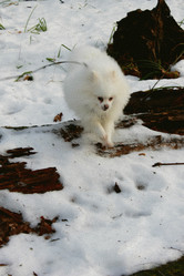 Similar image 22001982