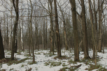 Similar image 22001983