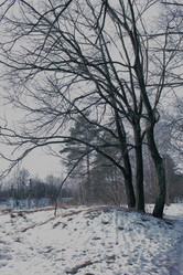 Similar image 22001984