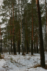 Similar image 22002151