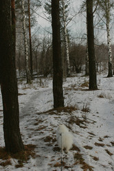 Similar image 22002007