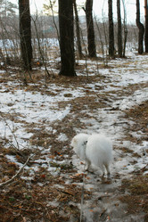 Similar image 22002008