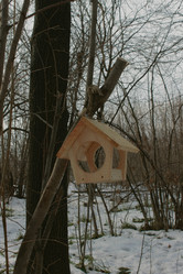 Similar image 22002010