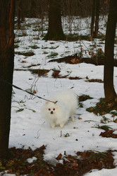 Similar image 22002152