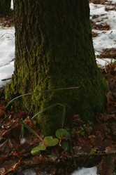 Similar image 22002012