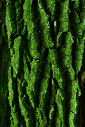 Similar image 22002013