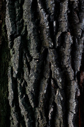 Similar image 22002014