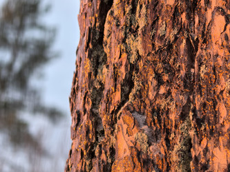 Similar image 22007567