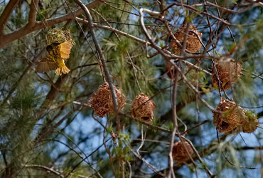 Similar image 22007778