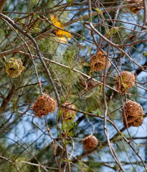 Similar image 22007779