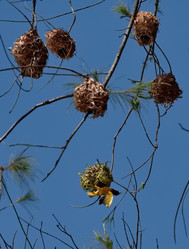 Similar image 22007783