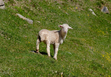 Similar image 22007791