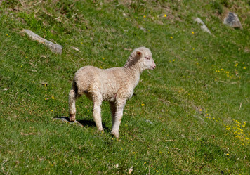 Similar image 22007792