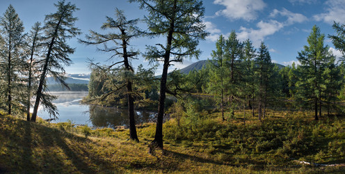 Similar image 22008728