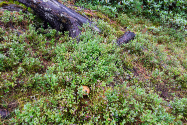 Similar image 22002666