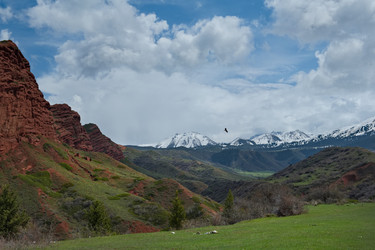 Similar image 22002705