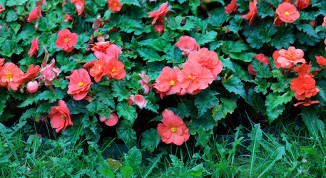 Similar image 22002419