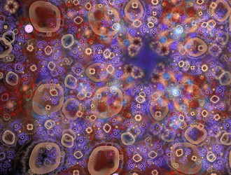 Similar image 22019298