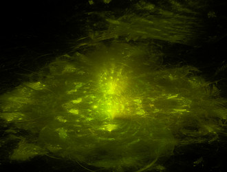 Similar image 22019432