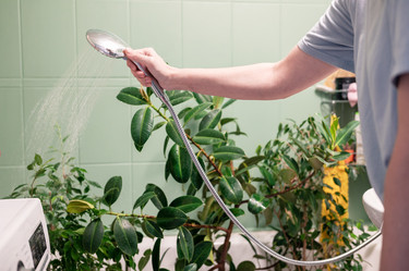 Similar image 22016892