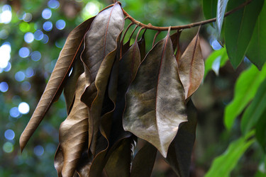 Similar image 22002429