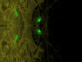 Similar image 22019013