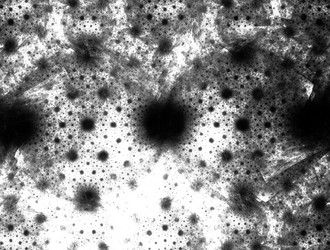 Similar image 22019014