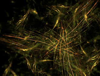 Similar image 22019513