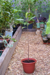 Similar image 22002668