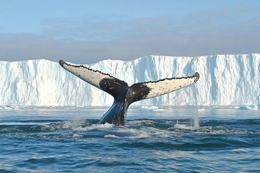 Similar image 22006954