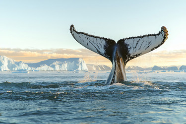 Similar image 22006955