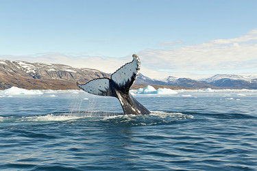 Similar image 22006957