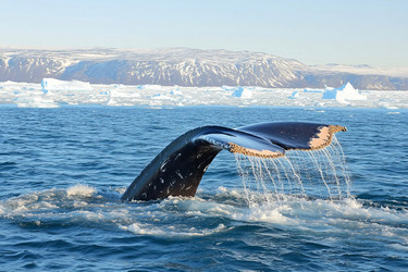 Similar image 22006962