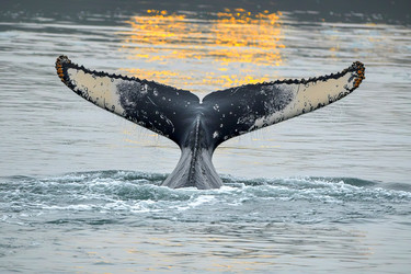 Similar image 22006966