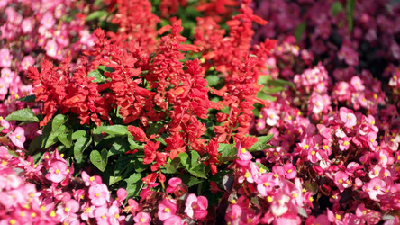 Similar image 22004217